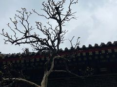 -西安市广仁寺