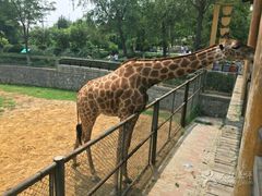 -石家庄市动物园