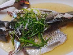 顺德无姜皖鱼-强记烧鸡(信业悦都汇店)