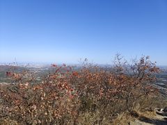 -北京西山国家森林公园