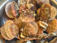 -宾朋海鲜特色美食餐厅·纯手工鲅鱼水饺(兴海路店)