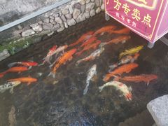 -前童古镇