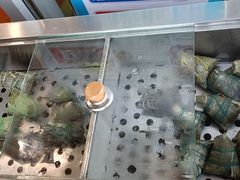 -大桥道糕点食品店(津塘路店)