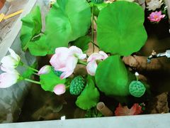 -灶东家民间菜(回兴店)