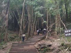 -凤栖山