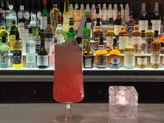 -LONG BAR 廊吧(外滩华尔道夫酒店)