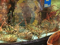 -东豪园林海鲜酒家(南港路辅路店)