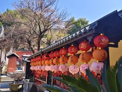 -南北湖风景区