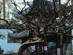 -豫园