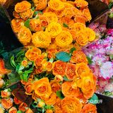 迅捷鲜花批发  《汉中门大街鲜花批发市场》
