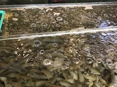 -大京园海鲜烧烤(东城路店)