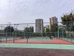 -东岳体育公园