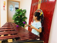 -音歆国艺馆·民乐培训(双榆树店)