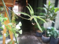 -泉乐坊步行街(烟酒特产平价超市店)