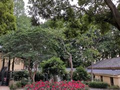 -T80科技文化国际社区-停车场