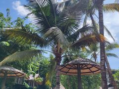 -海南槟榔谷黎苗文化旅游区