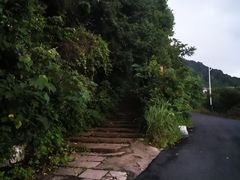 -杭州半山国家森林公园