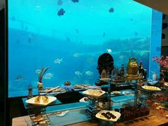 -瑞德姆美人鱼海底演艺主题餐厅(亚龙湾店)