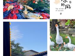 -麦园农庄·西江河鲜