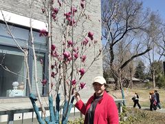 -北京大学-学五食堂