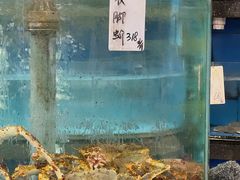 水产区-新河畔海鲜酒楼(虎门店)