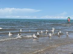 -青海湖国家重点风景名胜区