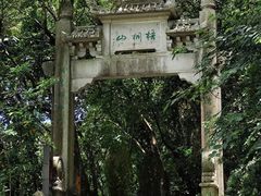 -梧桐山风景名胜区