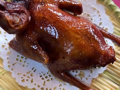 -麻奢鸽农庄·梦里水乡