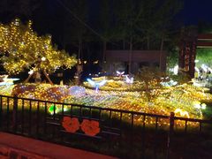 -洛阳市隋唐城遗址植物园