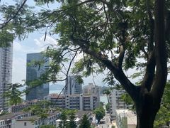 -鸿山公园