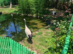 -西霞口神雕山野生动物世界