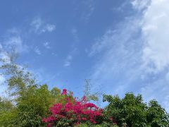 -平安桥天主教堂