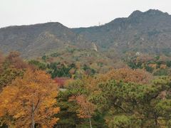 -北京鹫峰国家森林公园
