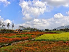 -光明小镇欢乐田园