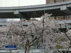 -上海南浦大桥长途旅游客运站