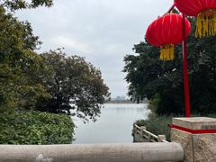 -海珠湖公园