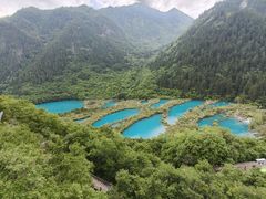 -九寨沟-树正沟