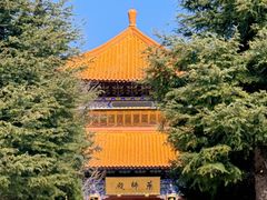 -崇圣寺三塔文化旅游区