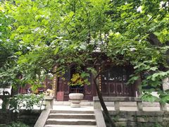 -沣峪森林公园龙潭戏水景区