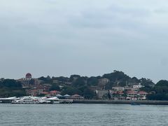 -八婆婆烧仙草(中山路店)