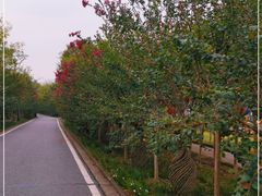 -武汉紫薇都市田园