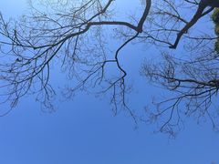 -村上春树