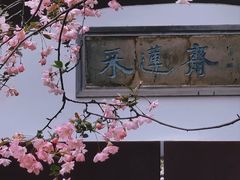 -莫愁湖公园