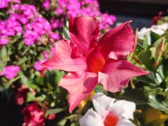 -面辣子·陕西家乡菜(钟楼店)