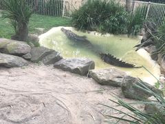 -费瑟代尔野生动物园