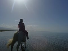 -青海湖国家重点风景名胜区