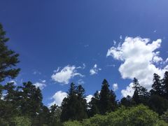 -黄龙山原始森林景区