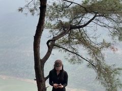 -铁山坪森林公园