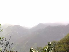 -秦岭风景区