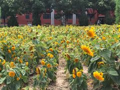-兰州大学(榆中校区)